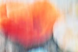 Liner Notes: The Encore Is a Lie